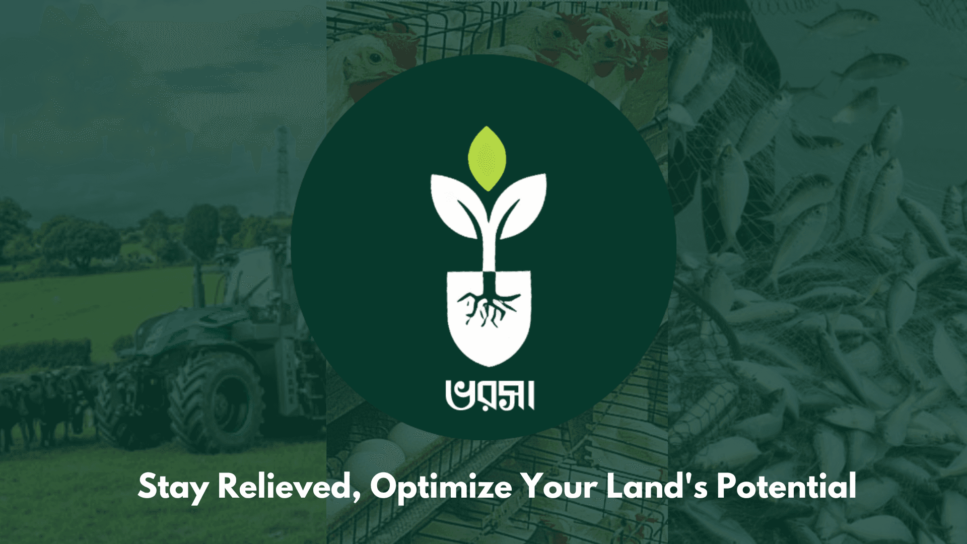 Pitchdeck Presentation Design