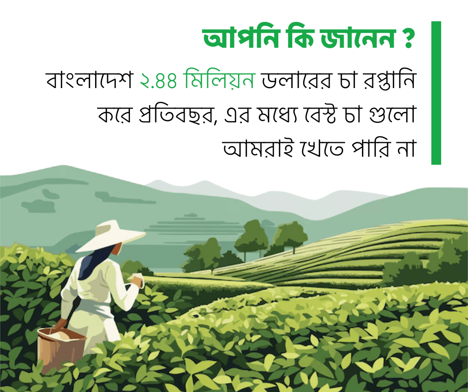 Facebook Generic Posts